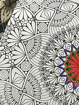 Snapshot of bigtelugubhama chatting on 11-15-25, 04:25 bigtelugubhama online show from 11-15-25, 04:25