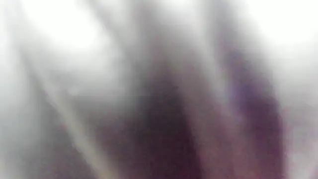 Snapshot of wild_best chatting on 02-16-26, 03:19 wild best online show from 02-16-26, 03:19