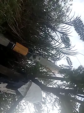 Snapshot of Camila-Valverde chatting on 01-31-26, 08:51 Camila-Valverde online show from 01-31-26, 08:51