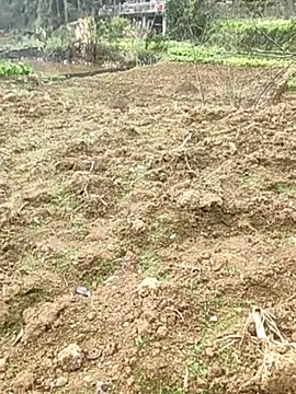 Snapshot of tian7788 chatting on 02-17-26, 03:03 tian7788 online show from 02-17-26, 03:03