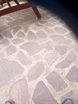 pino870 online show from 03-29-26, 01:55