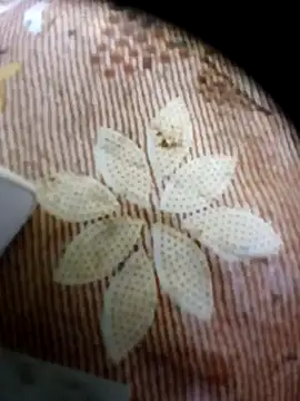 pino870 online show from 04-16-26, 11:18