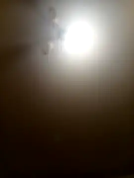 Niesmialyy online show from 02-16-26, 08:16