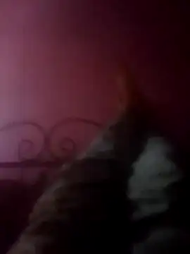 Narwindruners online show from 11-03-25, 06:53