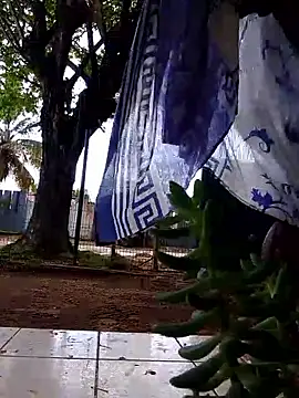 Snapshot of moreninho564 chatting on 11-25-25, 04:40 moreninho564 online show from 11-25-25, 04:40