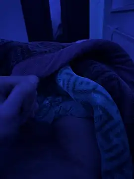 Snapshot of jafop098864 chatting on 03-02-26, 03:20 jafop098864 online show from 03-02-26, 03:20