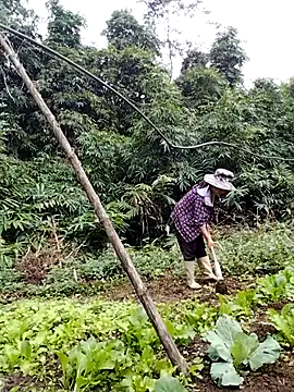 be-yeu online show from 11-05-25, 02:22