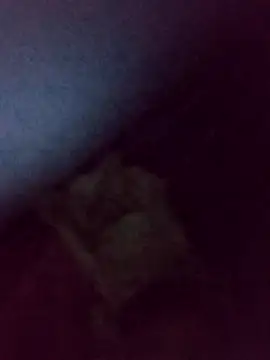 Snapshot of Drian1010 chatting on 11-04-25, 05:39 Drian1010 online show from 11-04-25, 05:39