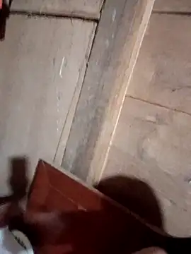 Snapshot of Bee-bgolden chatting on 11-12-25, 04:07 Bee-bgolden online show from 11-12-25, 04:07