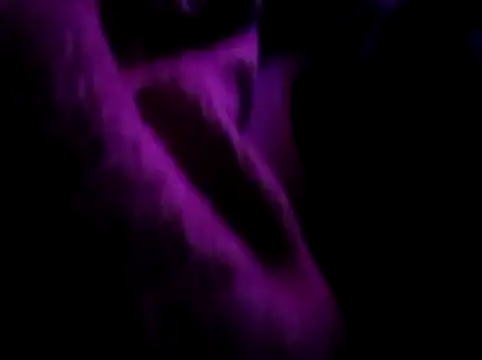 akram306 online show from 11-14-25, 11:24