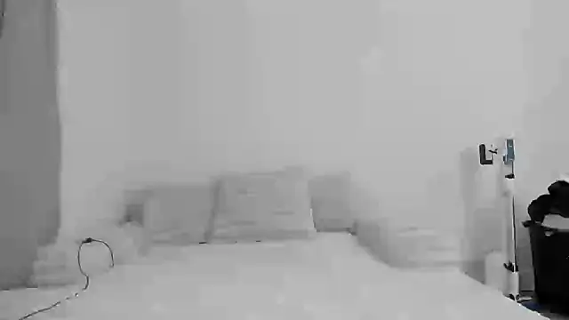 zaylanez online show from 11-08-25, 06:35