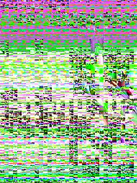 Snapshot of leenaboy@xh chatting on 11-27-25, 04:31 leenaboyxh online show from 11-27-25, 04:31