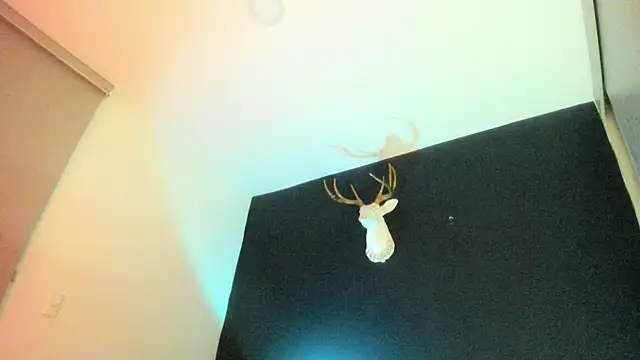 Zeus Jeff online show from 02-19-26, 01:34