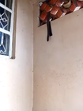 Momojasmine0 online show from 02-20-26, 06:48