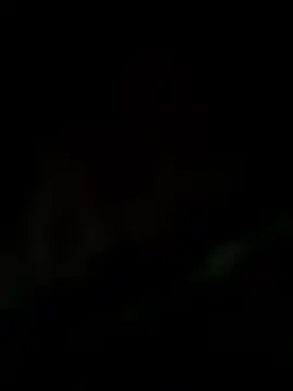 ankitakum8789 online show from 01-08-26, 05:21