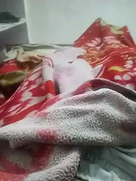 hyderabad single online show from 11-23-25, 03:50