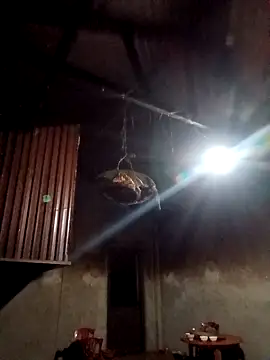 blonde blg online show from 02-12-26, 10:38