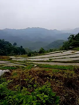 Cloud-wh online show from 03-14-26, 02:39