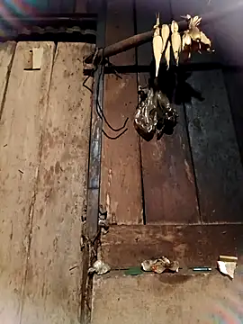 -Chua-90 online show from 02-26-26, 10:53