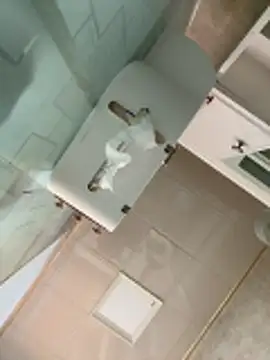 oo-shanshan online show from 12-17-25, 01:00