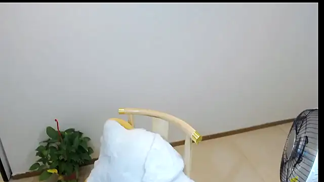 Shaurk online show from 02-23-26, 02:53