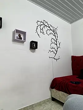 TerryGrace online show from 03-07-26, 07:33