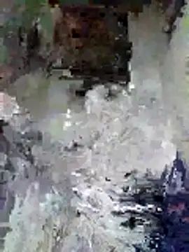 Junior 47 online show from 11-16-25, 08:31