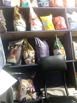 eva rushh online show from 03-09-26, 10:58