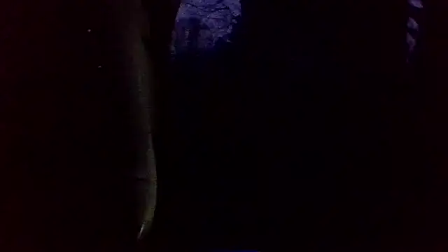 Snapshot of dickencidr chatting on 03-19-26, 12:14 dickencidr online show from 03-19-26, 12:14