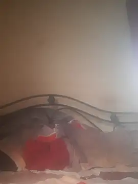 Shivona online show from 11-28-25, 03:53