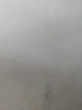 Snapshot of fpic chatting on 02-07-26, 04:22 fpic online show from 02-07-26, 04:22