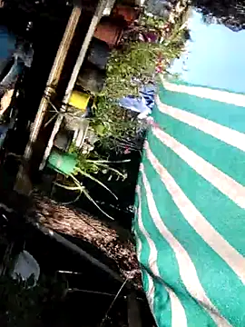 braidqueen00 online show from 02-10-26, 02:32