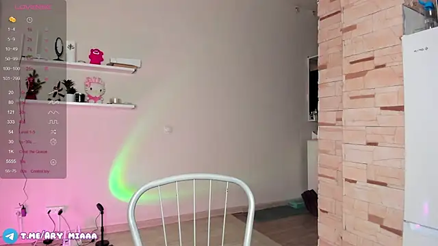 Snapshot of Ary_mia chatting on 01-14-26, 03:28 Ary mia online show from 01-14-26, 03:28