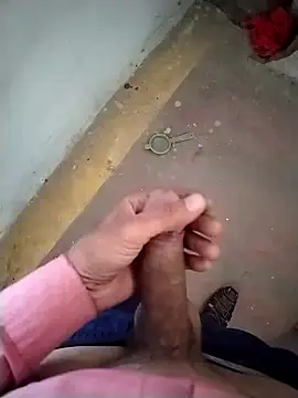 GDwrzsc2bfc online show from 11-29-25, 09:01