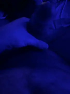 Snapshot of darknebula80 chatting on 02-14-26, 11:56 darknebula80 online show from 02-14-26, 11:56