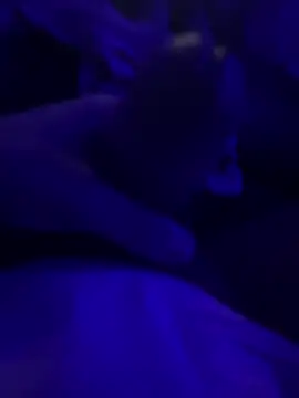 Snapshot of darknebula80 chatting on 02-25-26, 12:31 darknebula80 online show from 02-25-26, 12:31