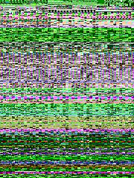 Snapshot of Damien40160 chatting on 05-13-26, 03:09 Damien40160 online show from 05-13-26, 03:09