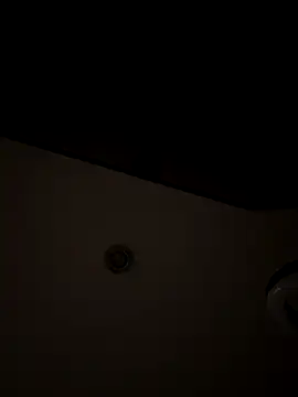 Little  Danni1 online show from 12-13-25, 11:10