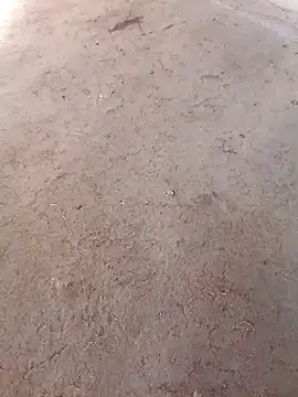 Snapshot of Nandani-758 chatting on 12-02-25, 10:09 Nandani-758 online show from 12-02-25, 10:09