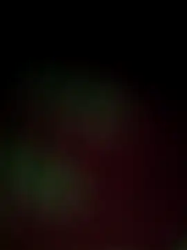 Nandani-758 online show from 12-18-25, 12:00