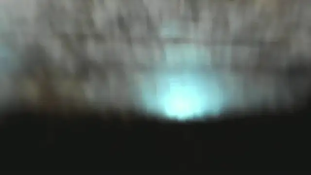 Izelevans online show from 01-15-26, 12:43