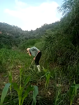 nangmo online show from 05-17-26, 10:44