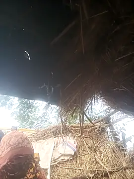 Hot srei online show from 12-01-25, 04:17