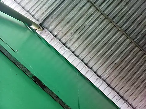 Lin-kute98 online show from 04-07-26, 12:55