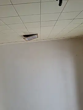 wakahoe online show from 03-22-26, 04:54