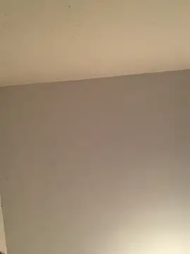 showaginge online show from 12-01-25, 07:24