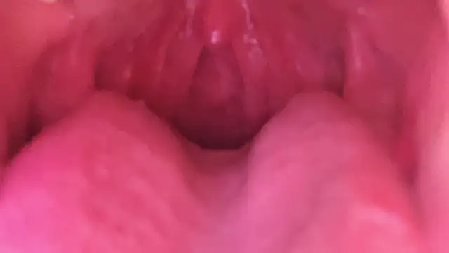 LT-333 online show from 01-18-26, 07:23