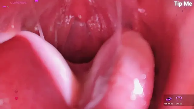 LT-333 online show from 04-17-26, 05:05