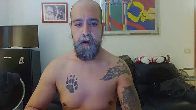 Snapshot of AMIRDIB2025 chatting on 06-15-26, 01:57 AMIRDIB2025 online show from 06-15-26, 01:57