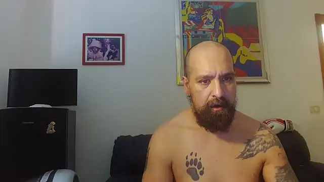 Snapshot of AMIRDIB2025 chatting on 06-17-26, 10:50 AMIRDIB2025 online show from 06-17-26, 10:50